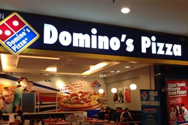 domino's franchise cost in india​